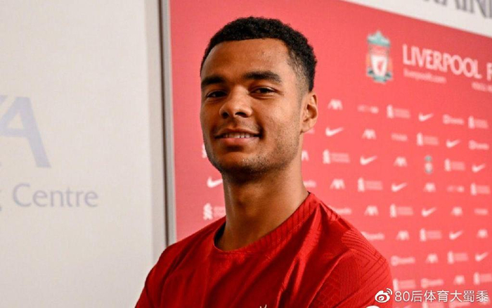 陷入了前所 陷入了前所